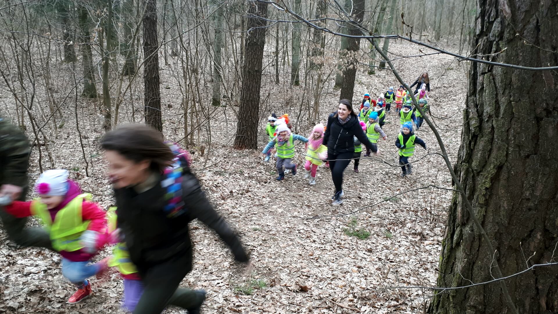 Naucz się kochać lasy - przekonują leśnicy