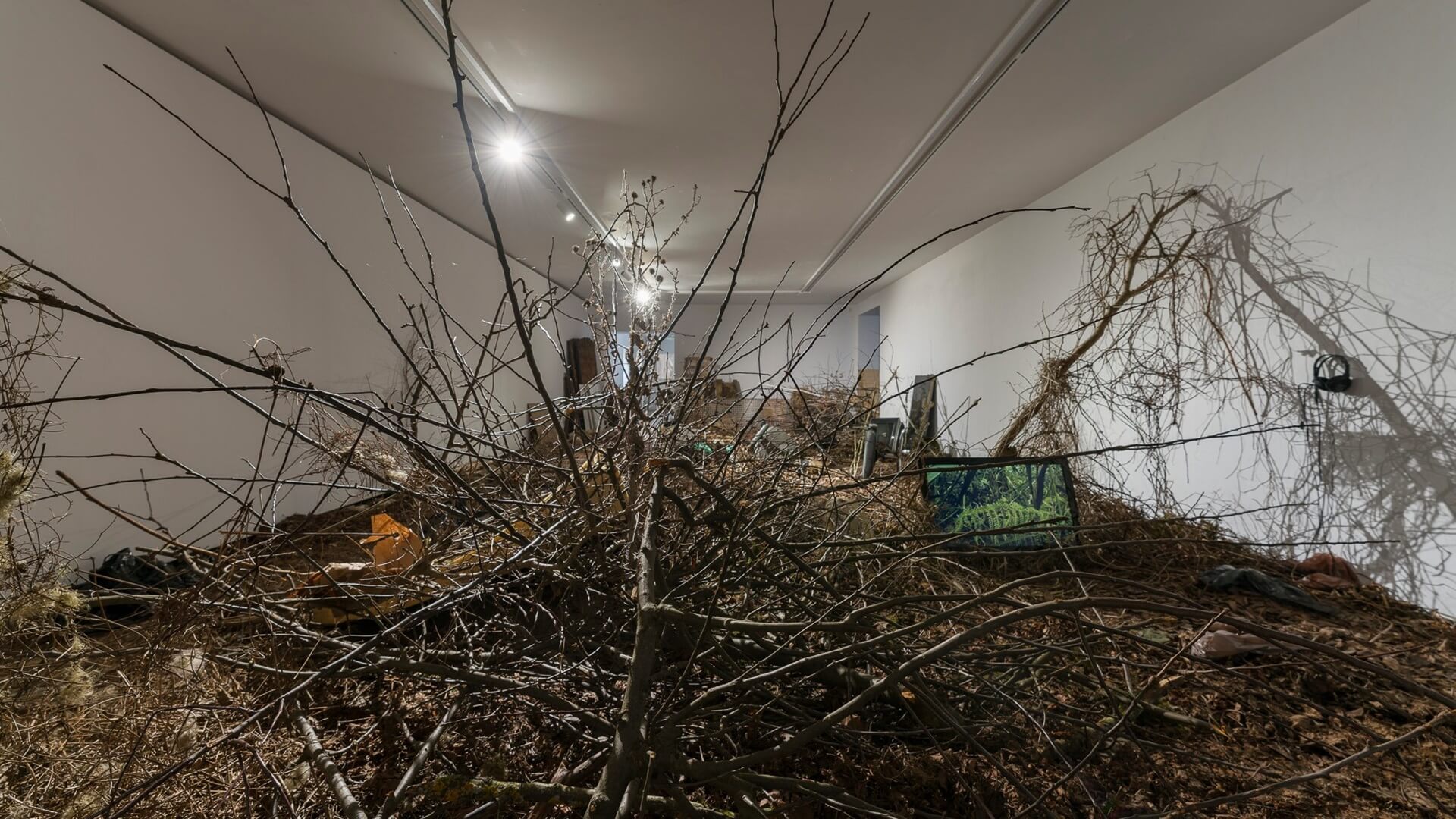 Afera z atakami na Galerię Arsenał