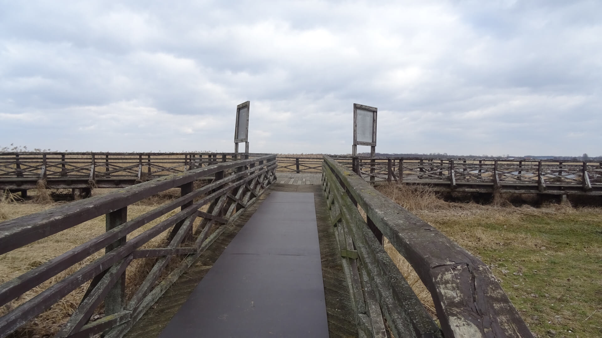Kładki w Narwiańskim Parku Narodowym zamknięte do odwołania