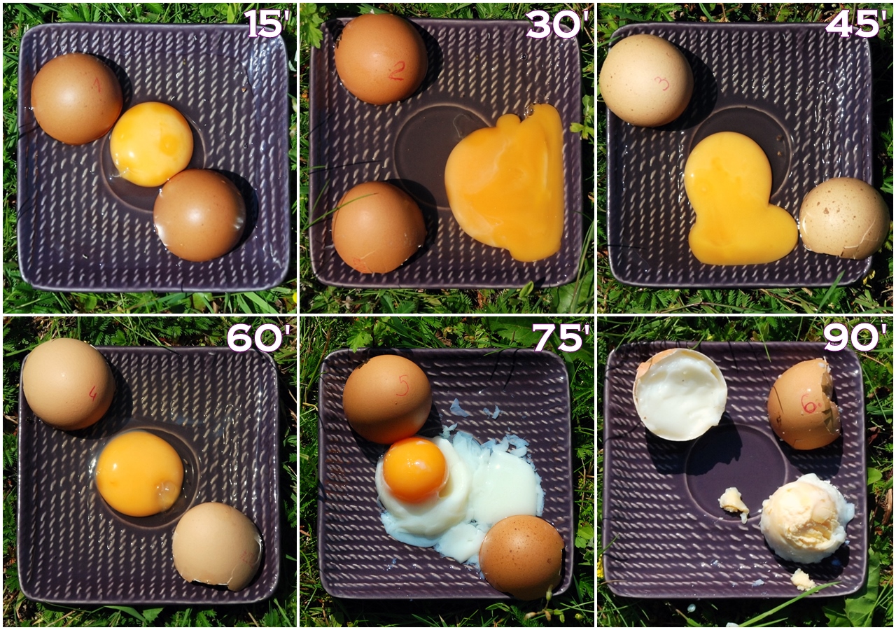 Zabójcze upały - eksperyment dziennikarzy Radia Białystok