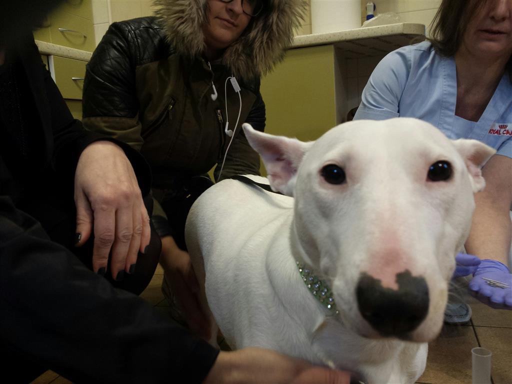 Białystok:  Umorzone śledztwo ws. śmiertelnych pułapek na osiedlu Wygoda