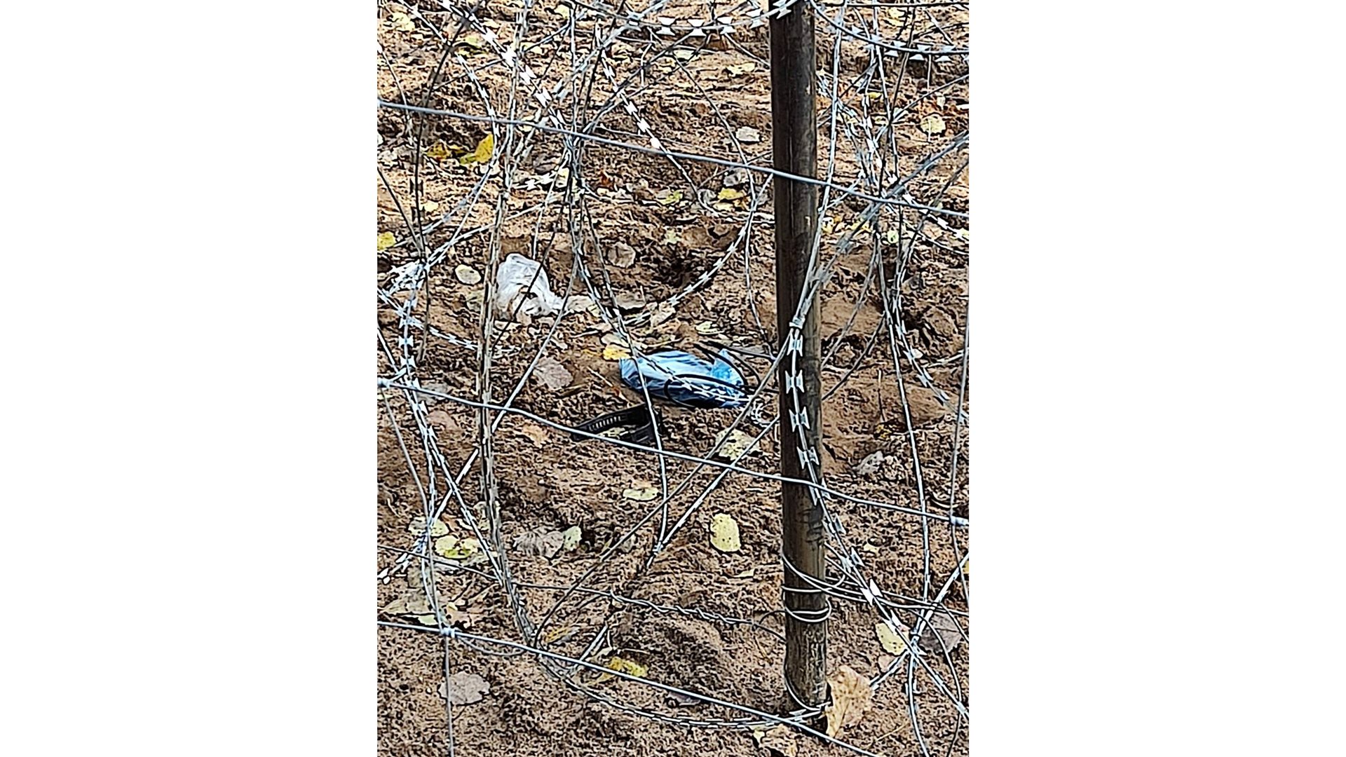 Straż Graniczna: Na granicy z Białorusią znaleziono atrapę bomby