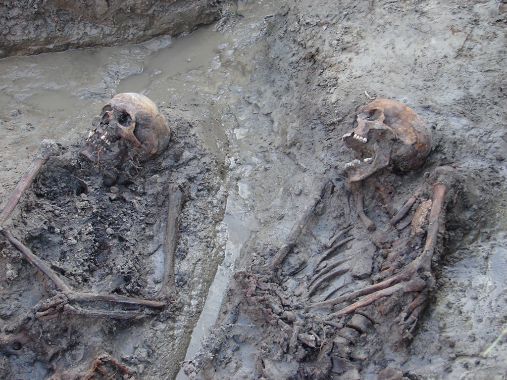 Genetycy chcą poznać tożsamość drugiego żołnierza odnalezionego we wsi Dmochy - Wochy