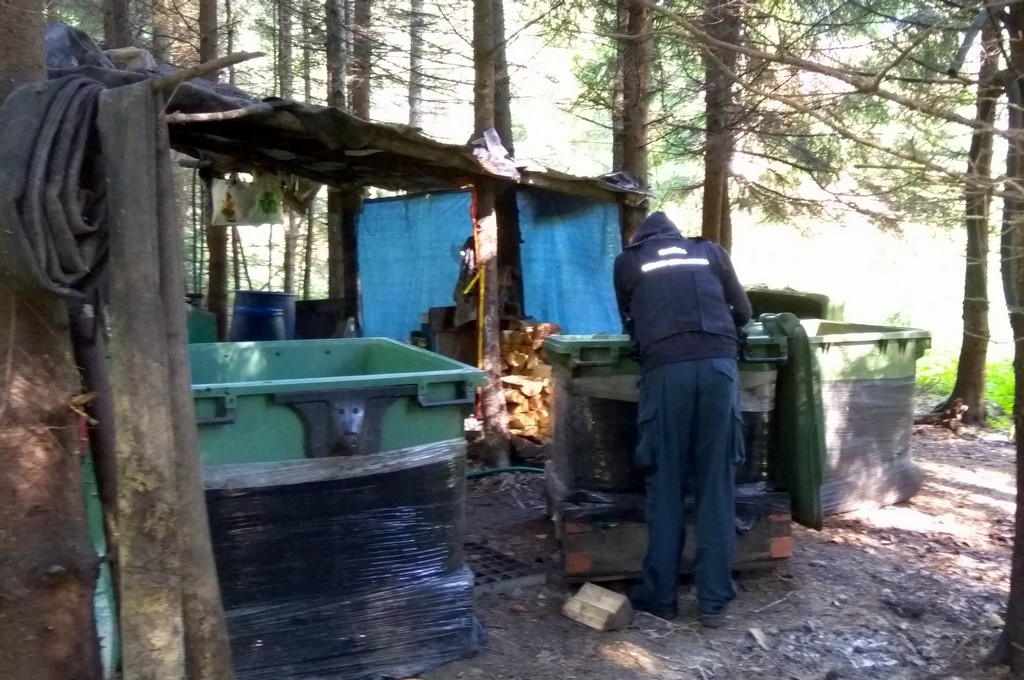 W okolicach Gródka zlikwidowano bimbrownię - funkcjonariusze KAS zabezpieczyli 120 l alkoholu