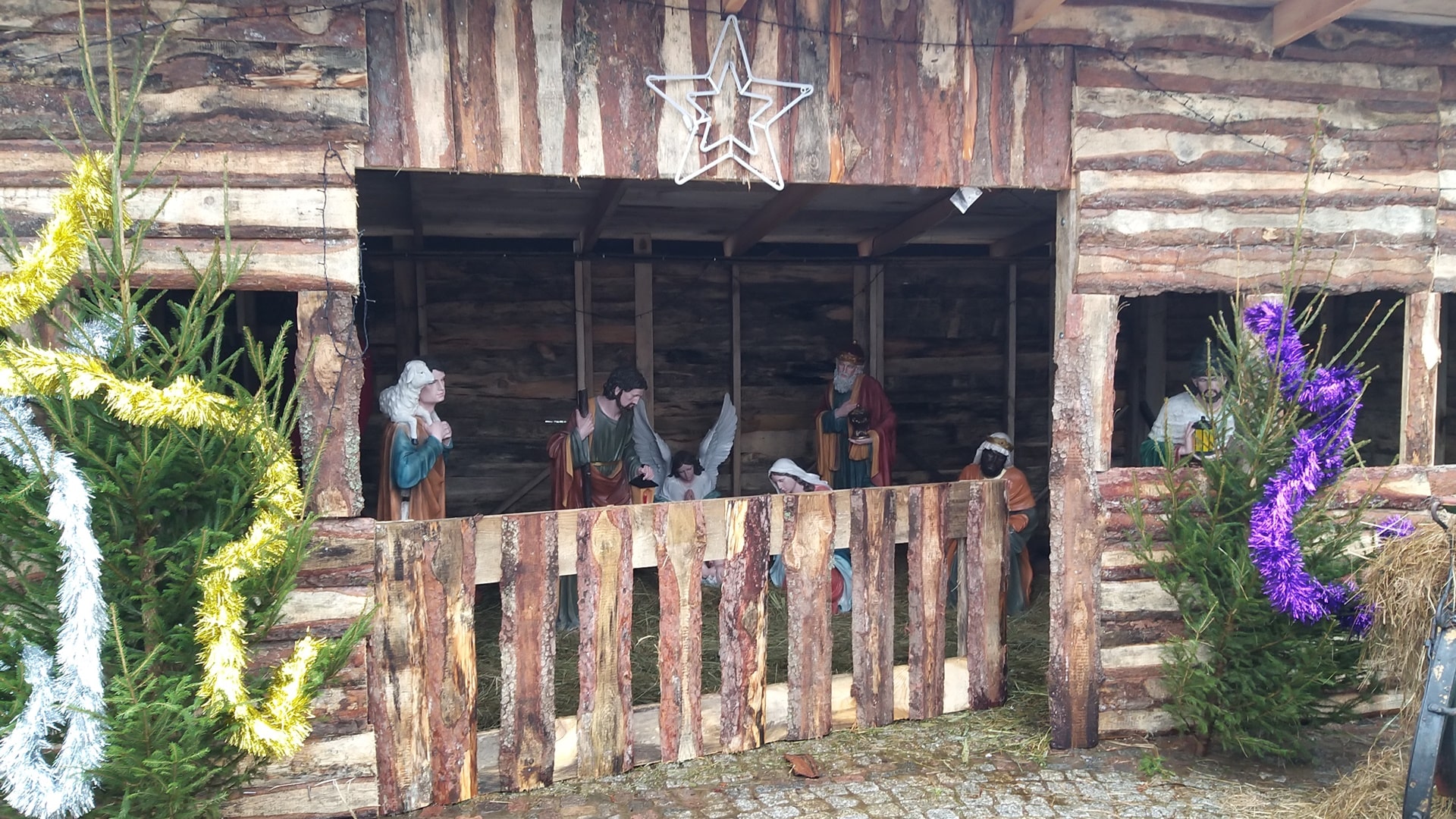 Na rynku w Supraślu można oglądać żywą, bożonarodzeniową szopkę [zdjęcia]