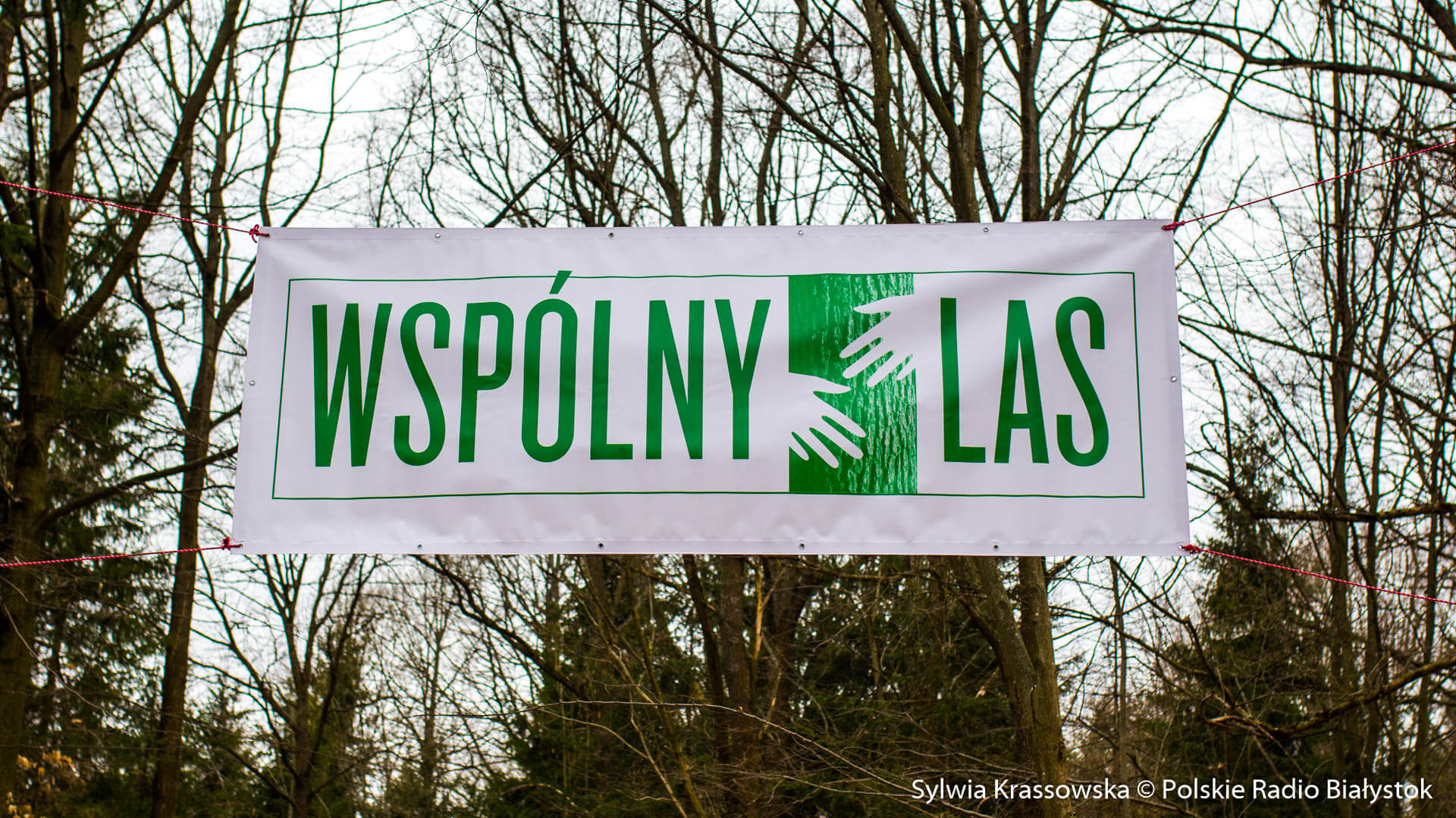 Międzynarodowy Dzień Lasów - mieszkańcy Białegostoku dostali drzewka, był też spacer po Lesie Solnickim