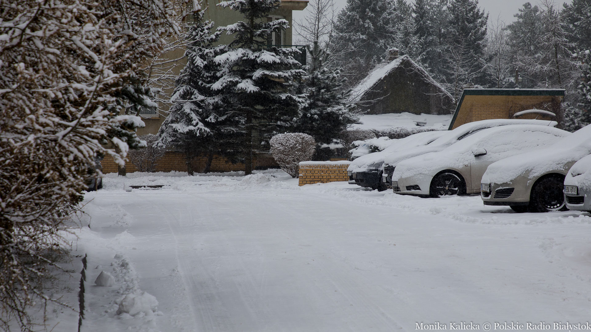 Na taką zimę mieszkańcy Podlasia czekali z utęsknieniem