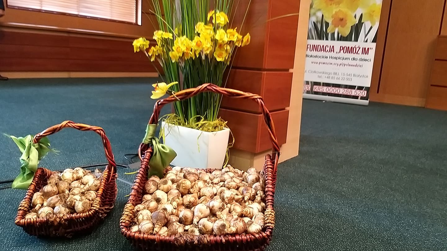 W Białymstoku zainaugurowano tegoroczną akcję "Pola nadziei"