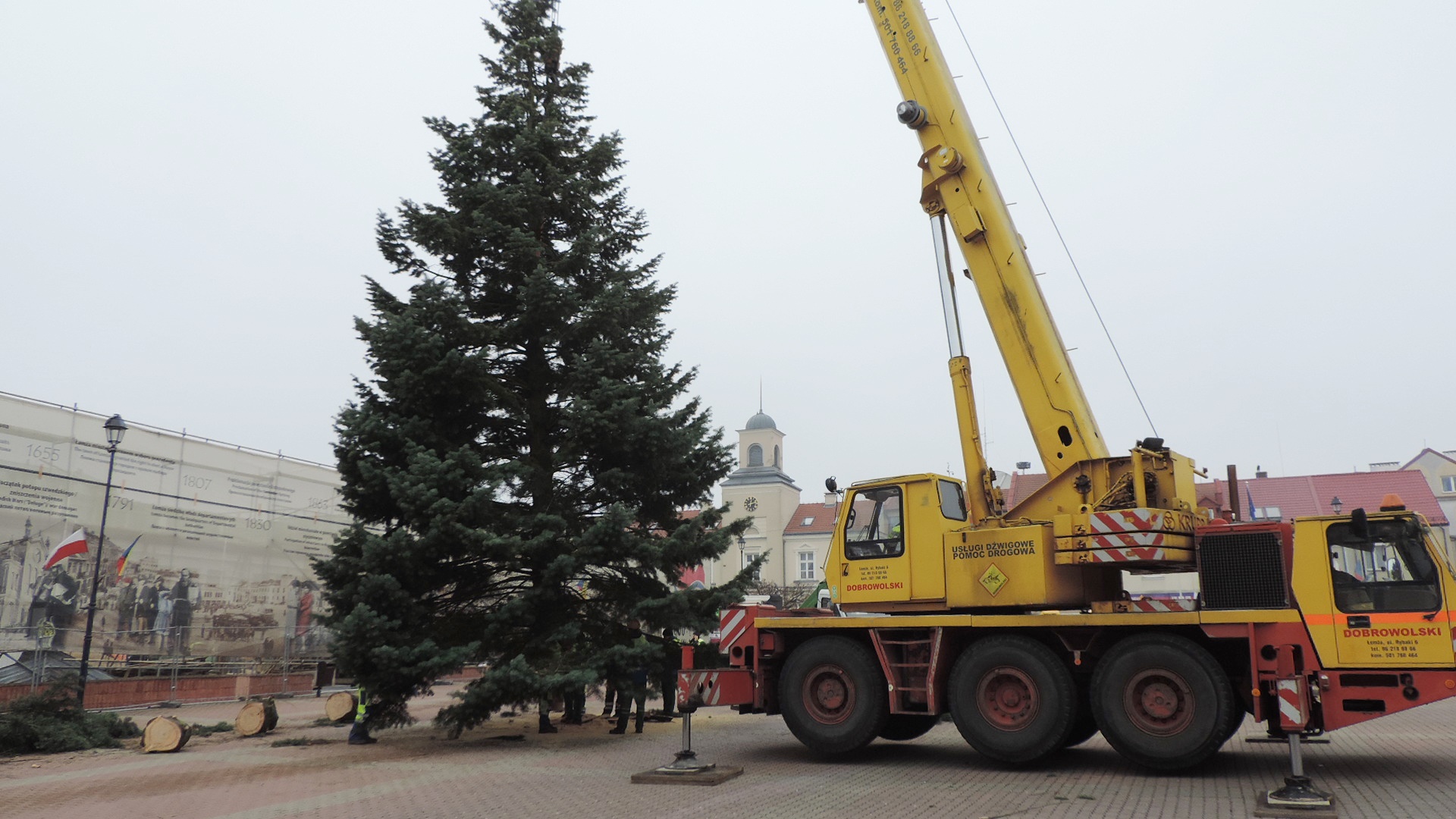 Przed łomżyńskim ratuszem stanęła już żywa choinka