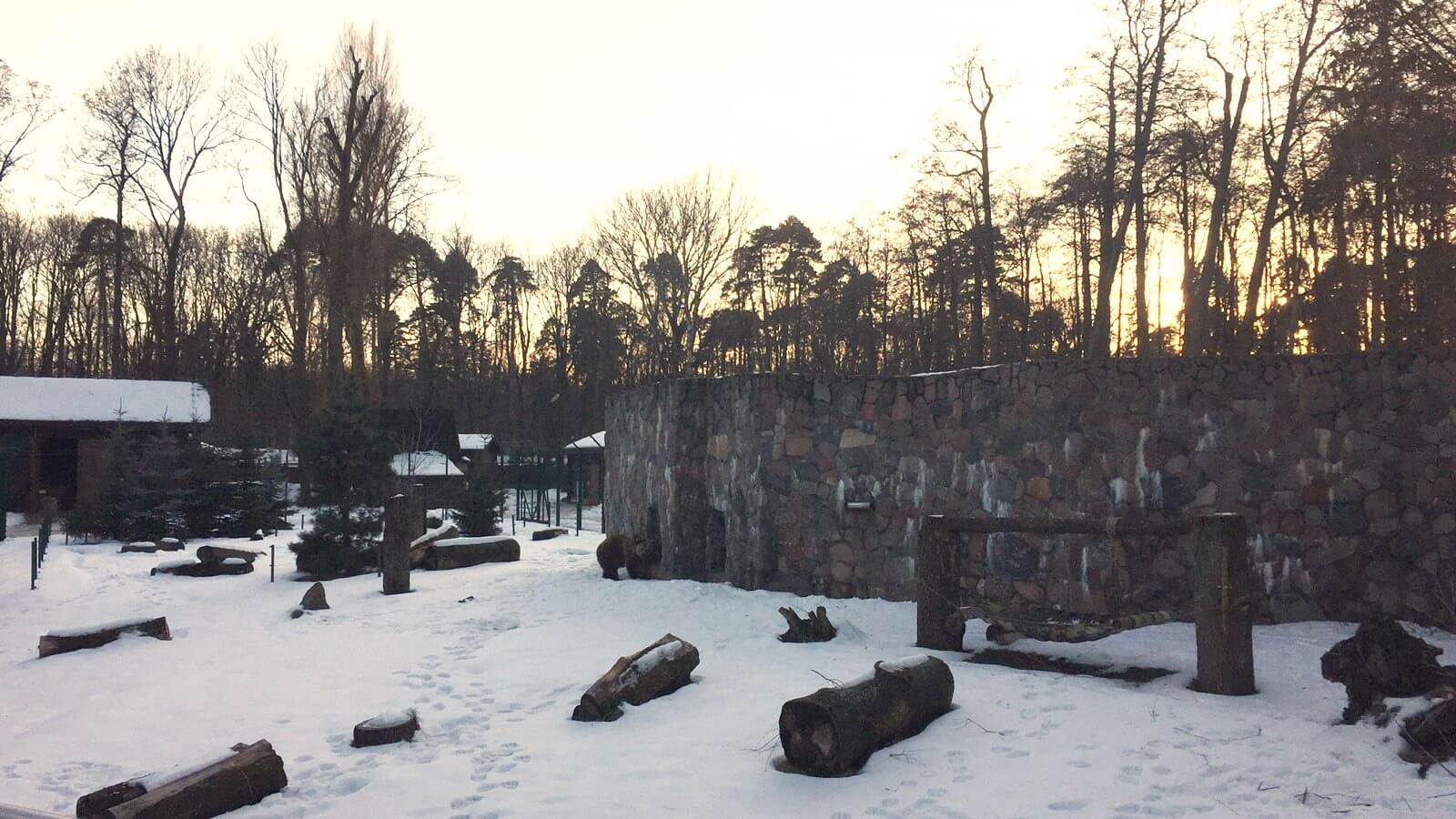 Zima to trudny czas dla zwierząt w białostockim ZOO - mają teraz więcej ściółki i ciepłej wody