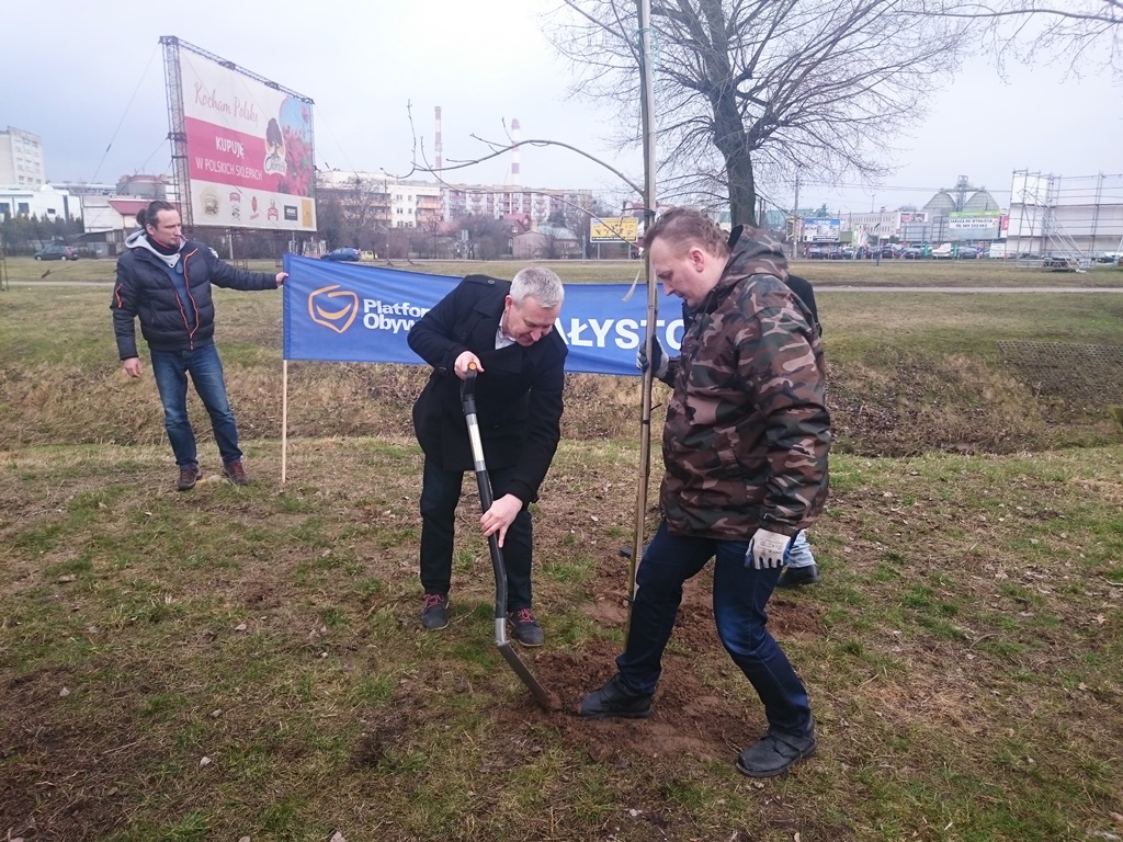 Akcja Platformy Obywatelskiej "Cała Polska sadzi drzewa"