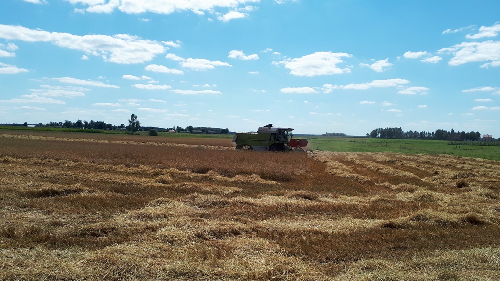 Śmiertelny wypadek podczas prac polowych w Zawadach