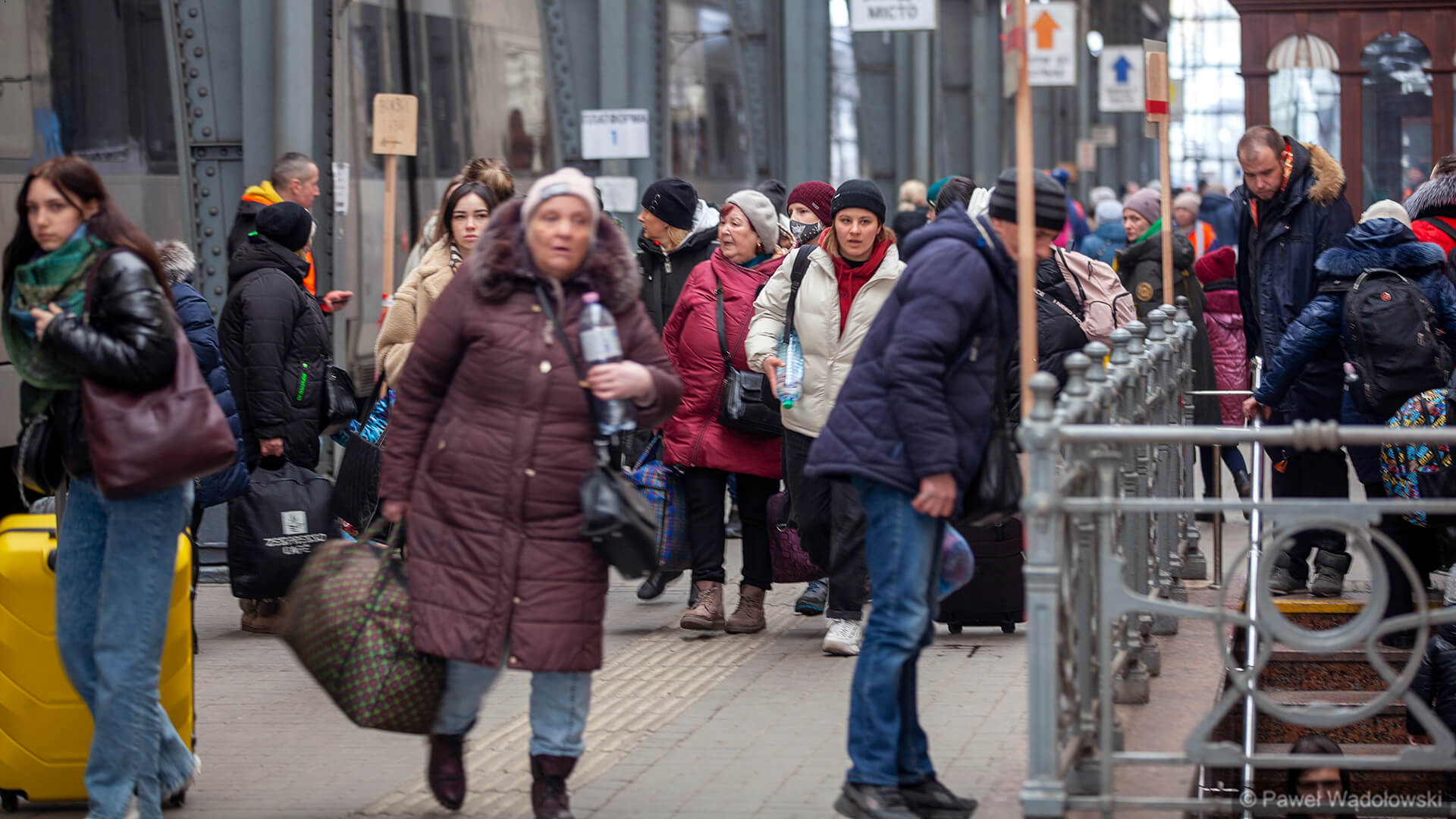 Polscy wolontariusze pomagają Ukraińcom we Lwowie [zdjęcia, wideo]