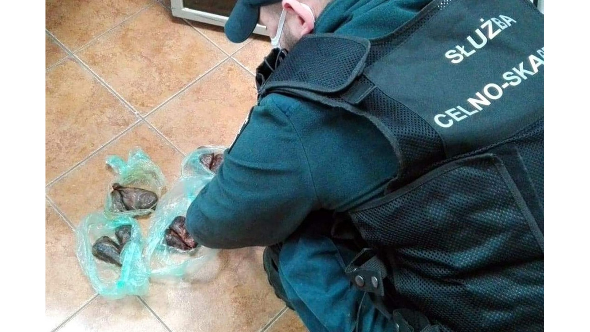 Białorusin przewoził w bagażu gruczoły skórne bobra - zatrzymała go KAS