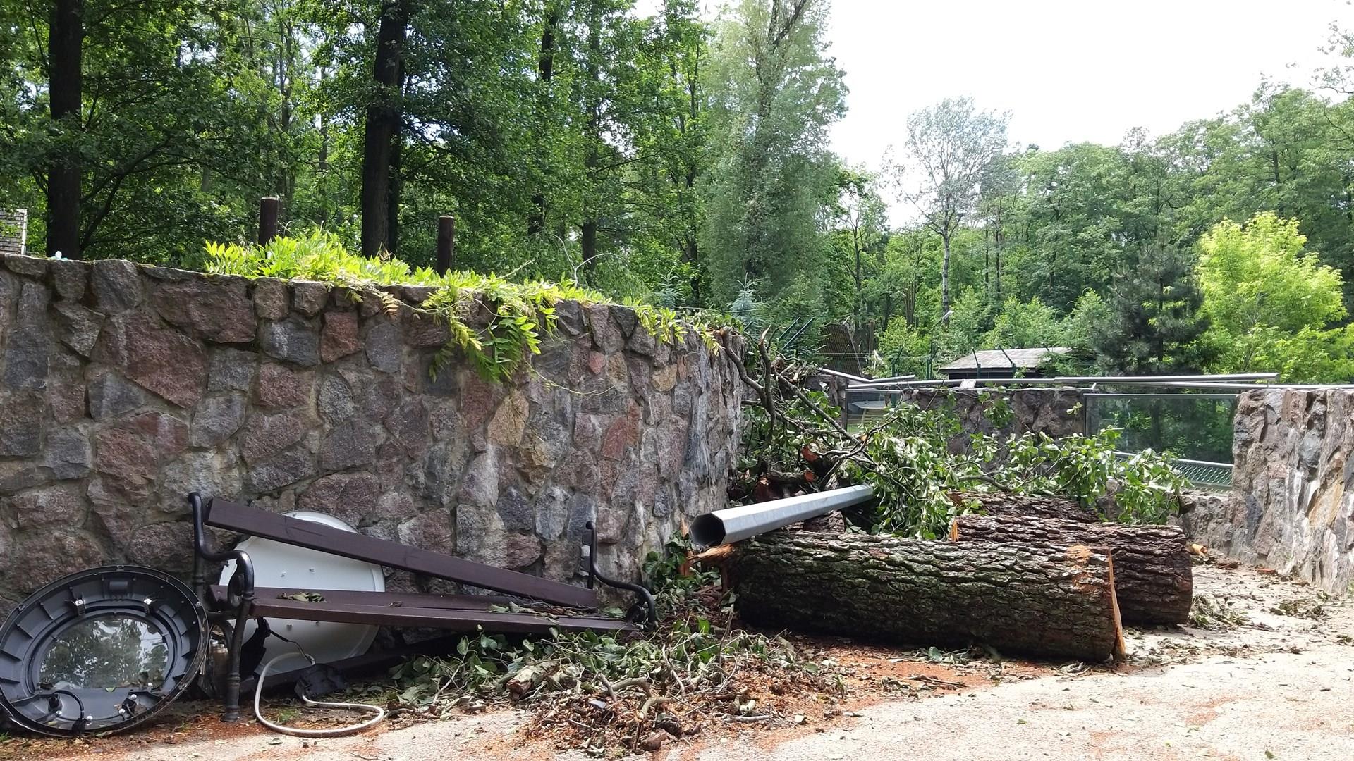 Skutki nawałnicy w Akcent ZOO w Białymstoku