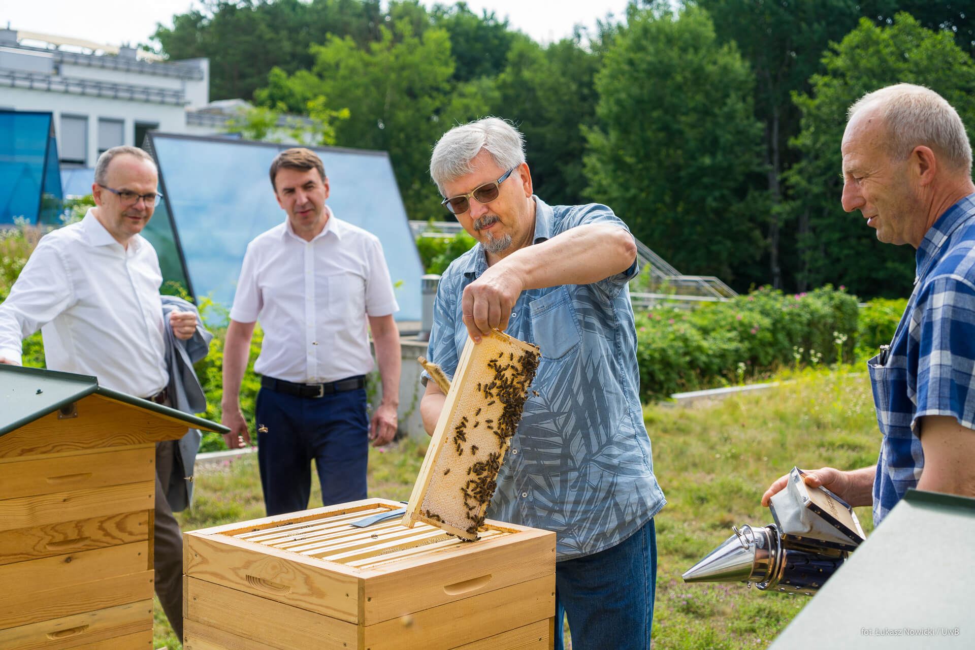 Pierwsze miodobranie z pasieki Uniwersytetu w Białymstoku