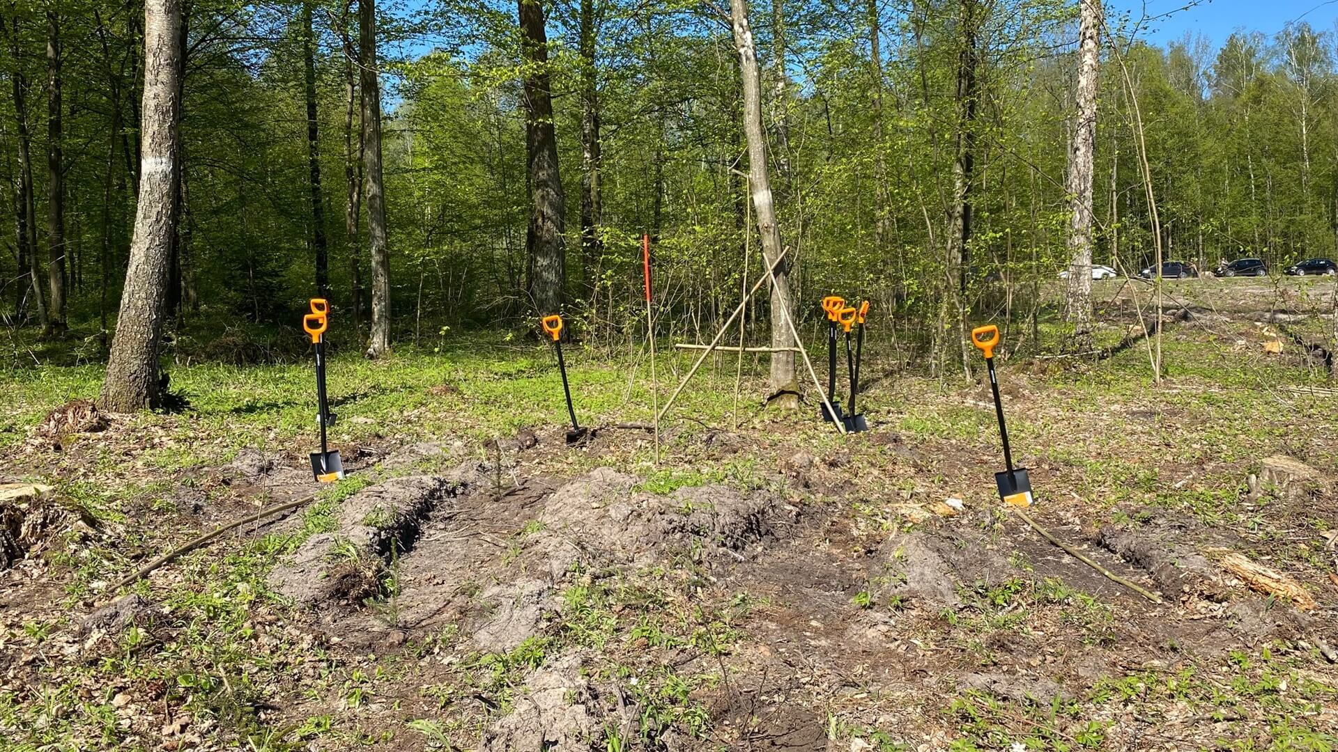 Augustowscy leśnicy posadzą w środę Las Pamięci Jana Pawła II