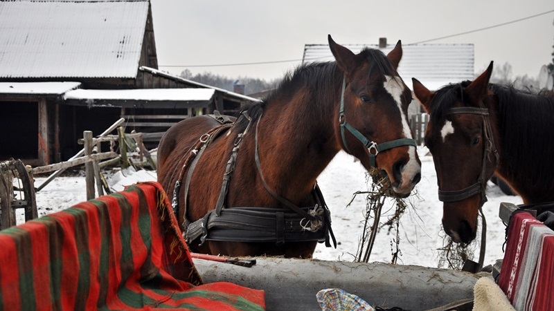 Pogoda zachęca do organizacji kuligów