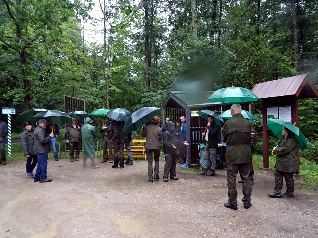 Leśnicy zorganizowali w Białowieży marsz solidarności z poszkodowanymi w nawałnicach