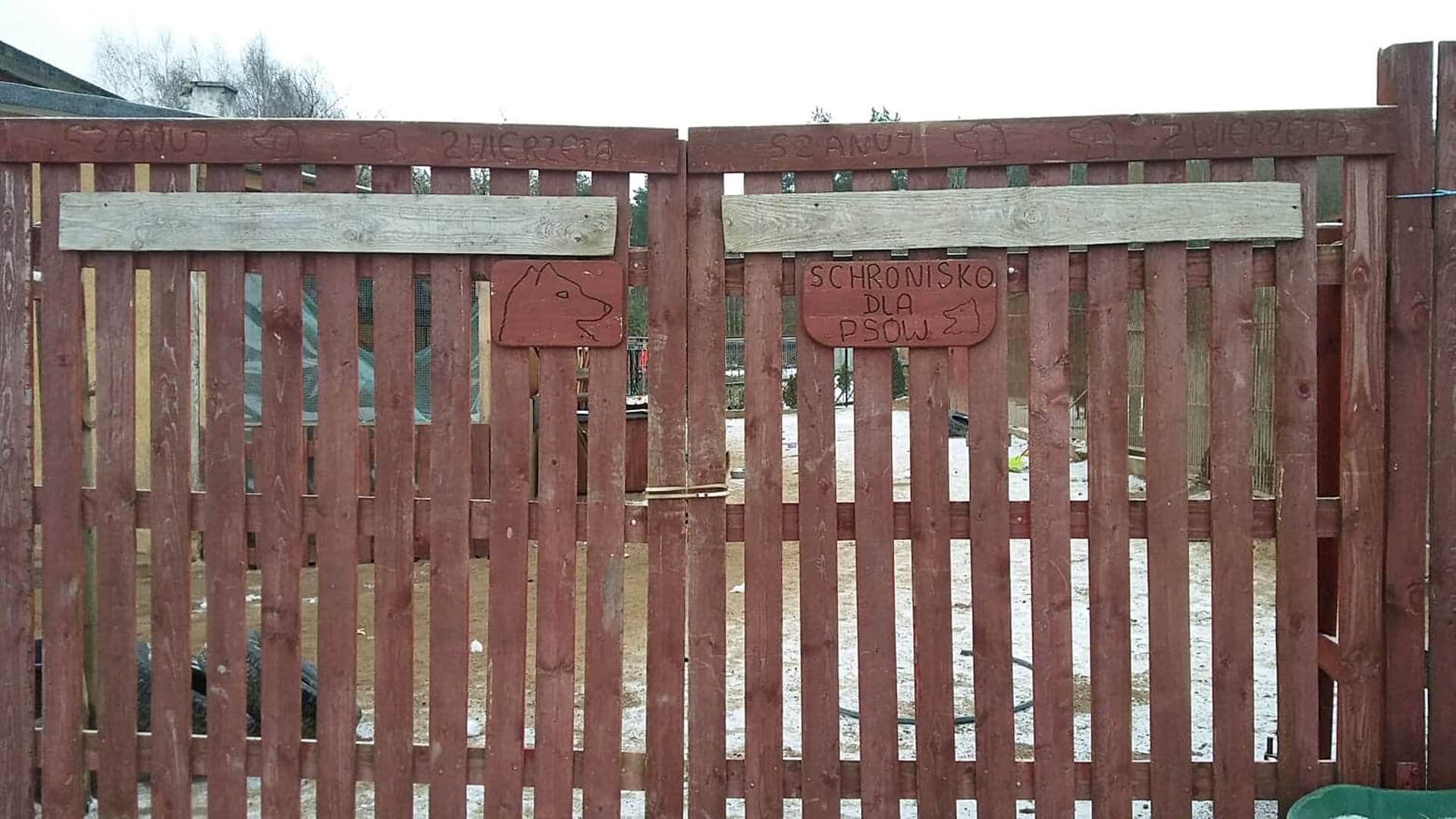 Nie wiadomo, kto w przyszłym roku będzie zajmował się schroniskiem dla zwierząt w Sokółce