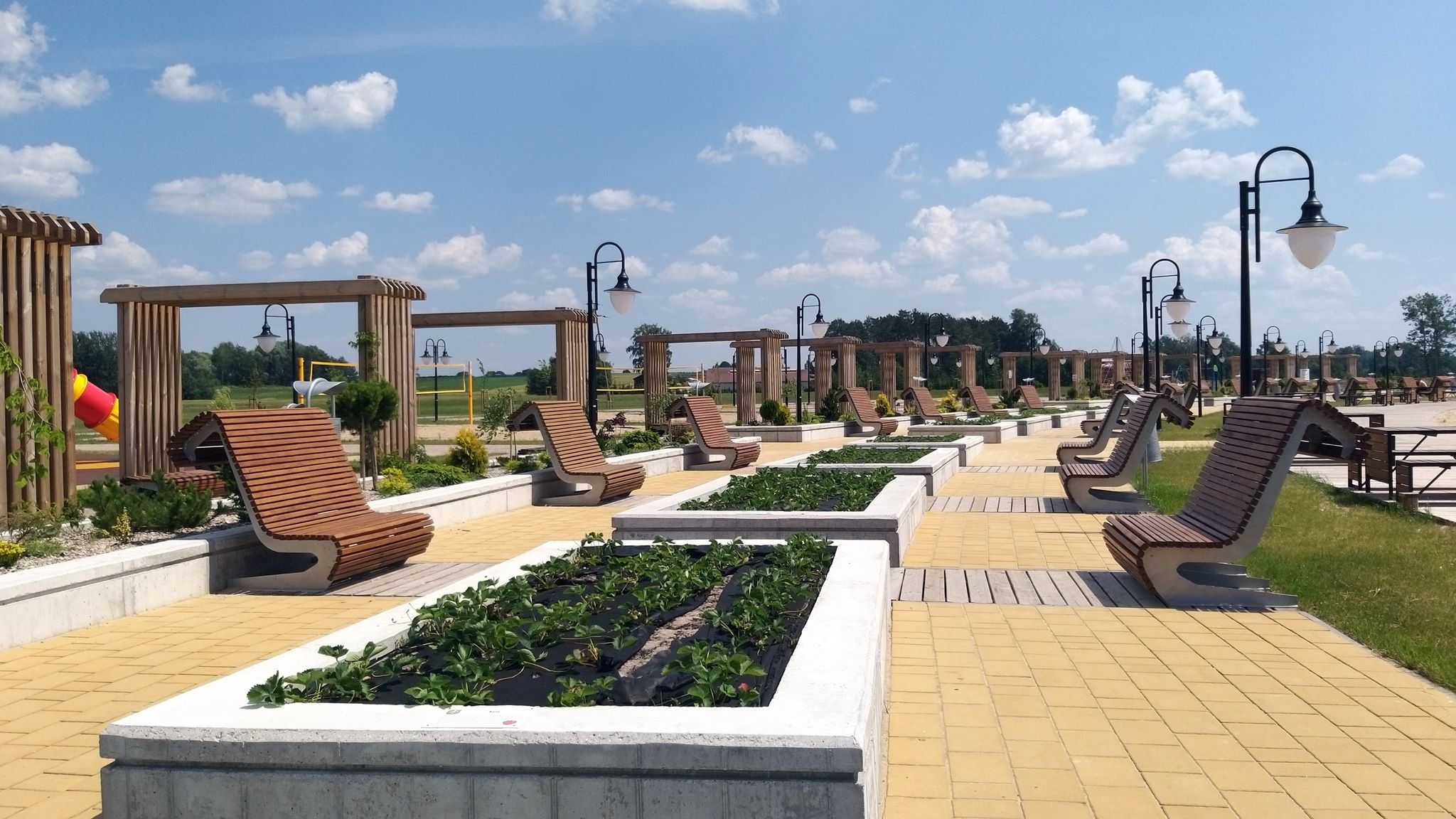 "Asia", "Malwina", "Róża" - 20 odmian truskawek prosto z krzaka można spróbować w Korycinie