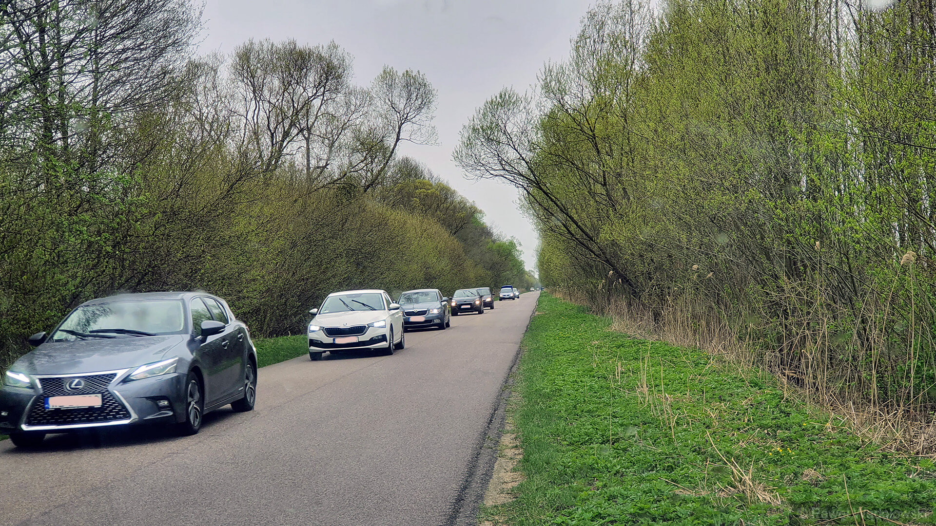 Mimo nie najlepszej pogody turyści z całej Polski odwiedzają Biebrzański Park Narodowy