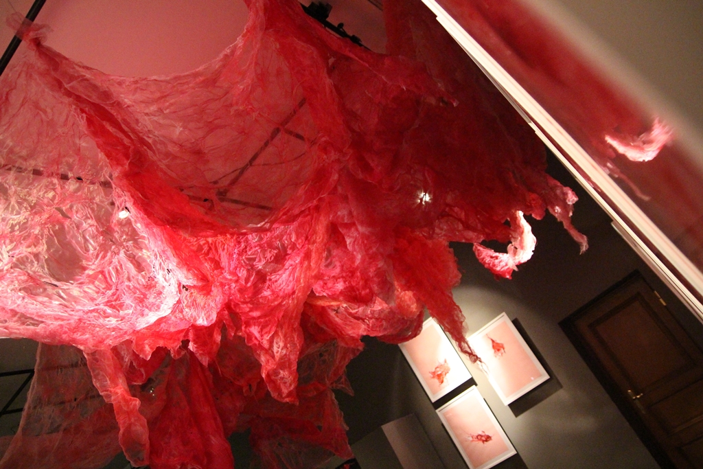 Spektakle, warsztaty, koncerty i wystawy - festiwal "LALKA-NIE-LALKA"