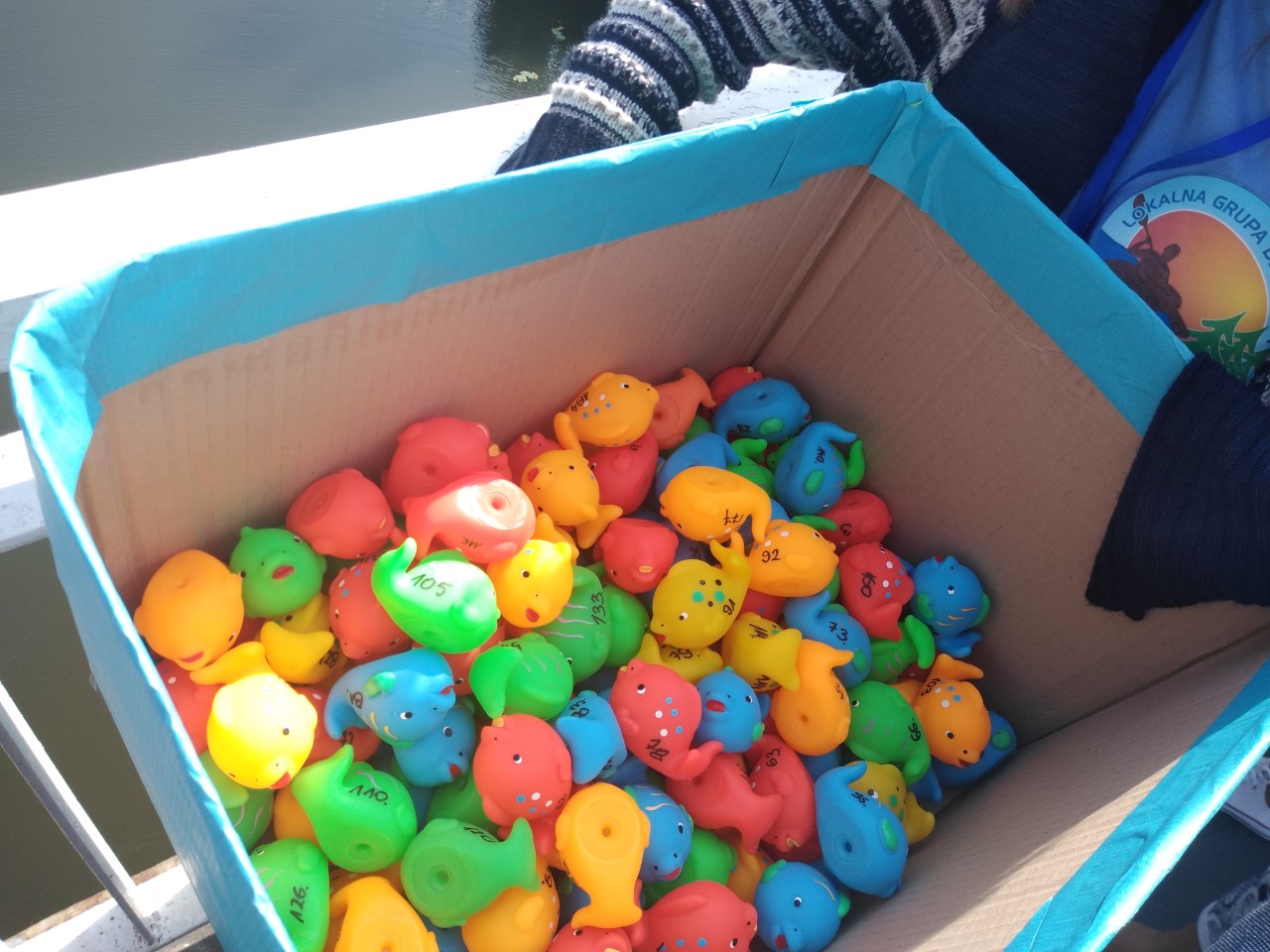 Charytatywny wyścig gumowych rybek na Kanale Augustowskim