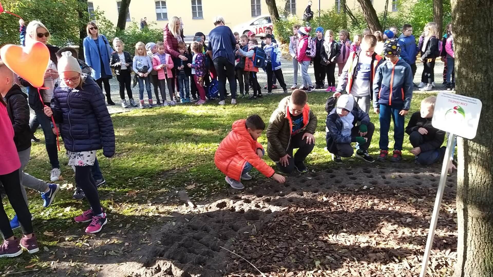 W Białymstoku posadzono "Tulipany mocy" na rzecz osób z dystrofią mięśniową Duchenne'a