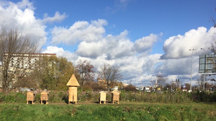 Pierwsza miejska pasieka powstała w Białymstoku [zdjęcia]