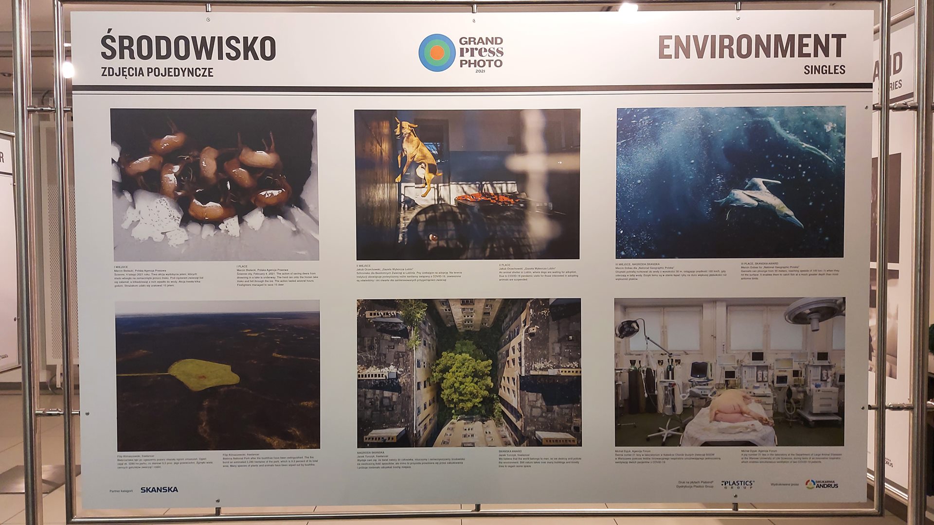 W foyer kina Forum oglądać możemy wystawę "GRAND PRESS PHOTO 2021"