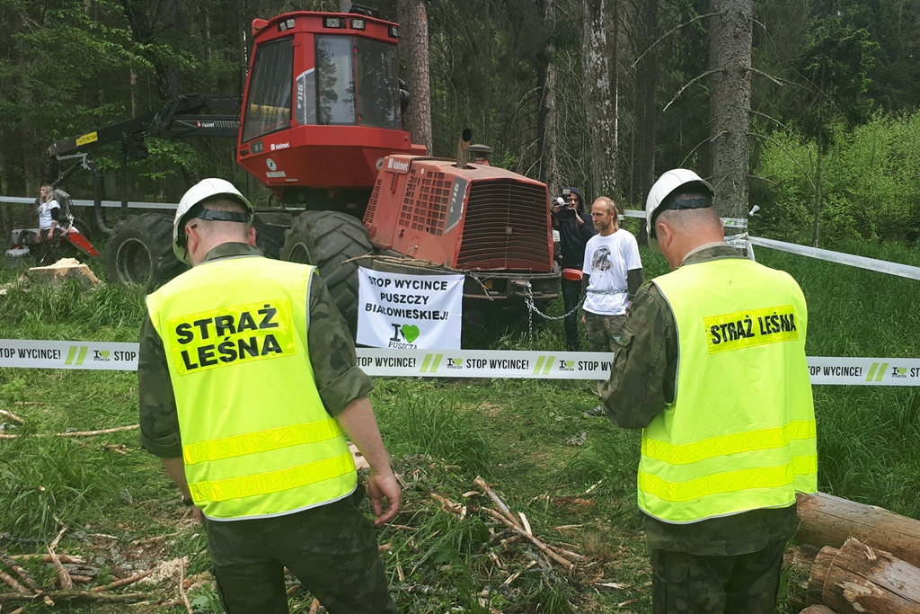 Kowalczyk: plan ochrony Puszczy Białowieskiej - w następnych miesiącach