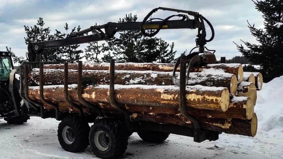 Złodziej drewna wpadł na gorącym uczynku