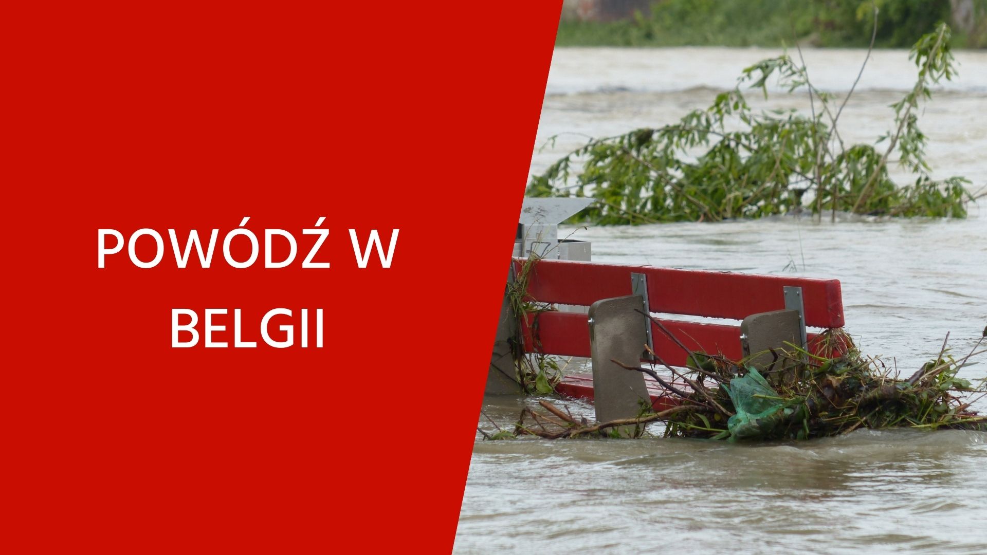 Polskie dzieci z zalanej przez powódź miejscowości w Belgii są już bezpieczne
