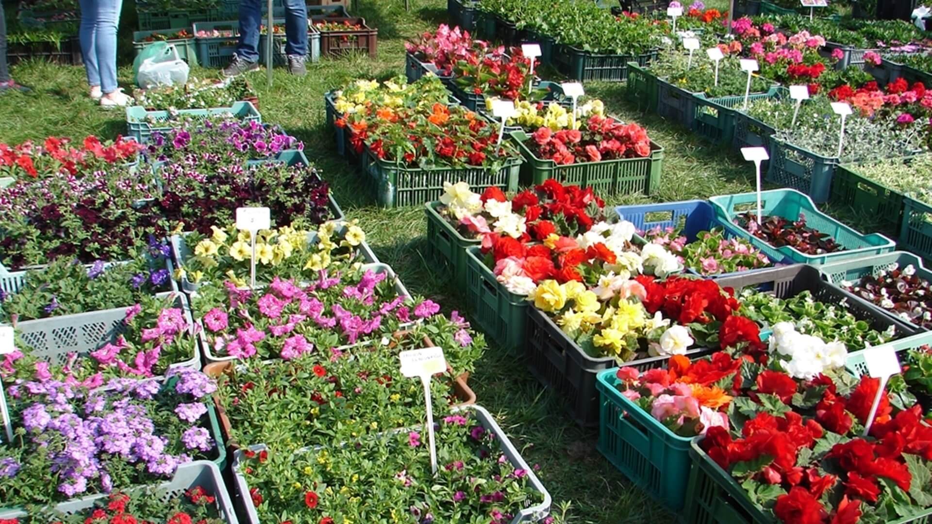 W Hajnówce ma powstać nowe targowisko