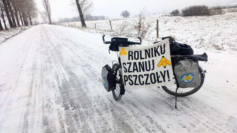 "Jedziemy na miodzie" - w obronie pszczół przejadą na rowerach 1800 km