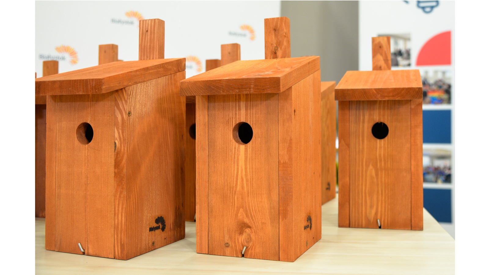 Do mieszkańców Białegostoku trafi 250 budek lęgowych dla ptaków