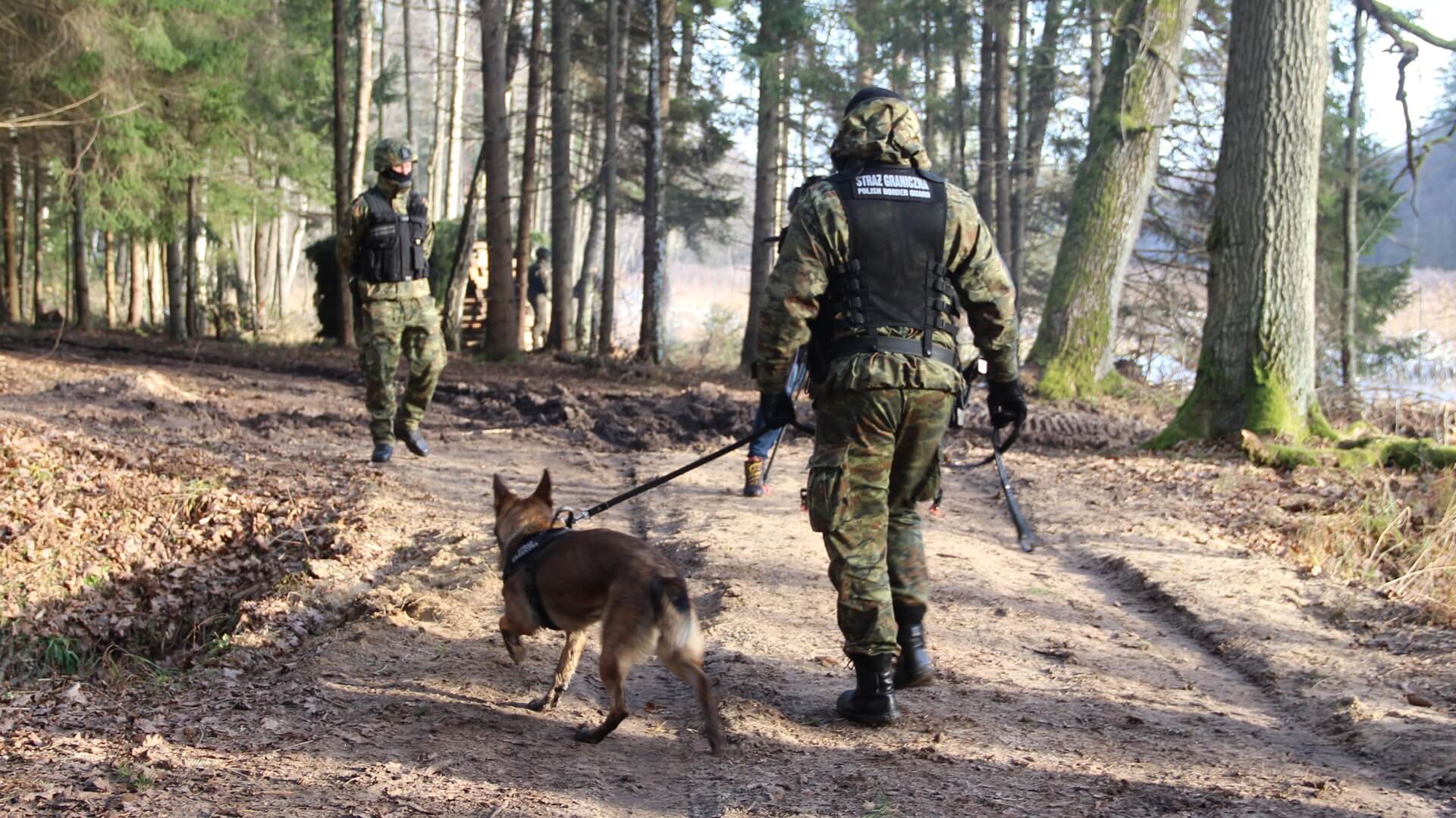 SG: Ostatniej doby zanotowano 80 prób nielegalnego przekroczenia granicy