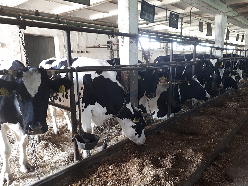 Cena wywoławcza to 15 mln zł - gospodarstwo rolne Zespołu Szkół Rolniczych w Czartajewie wystawione na sprzedaż