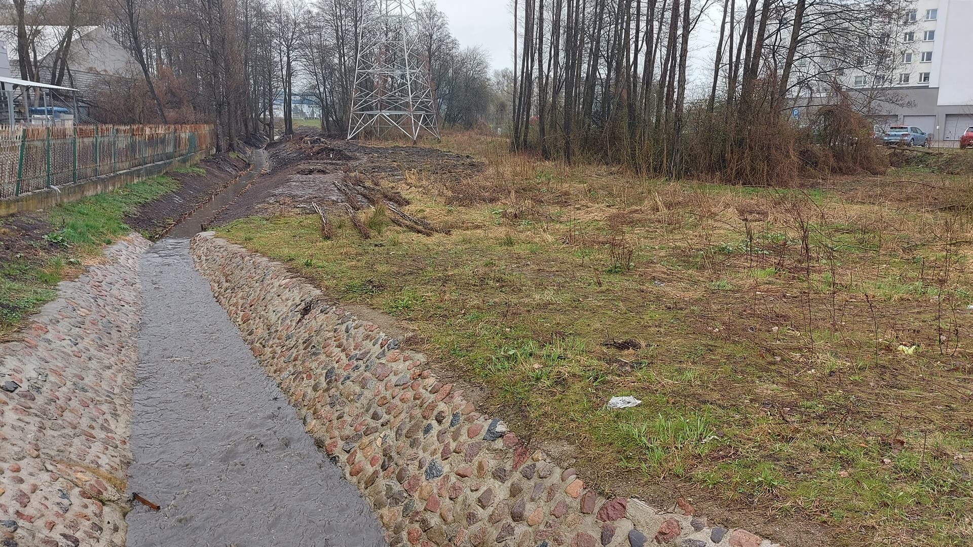 Rów przy Alei Tysiąclecia w Białymstoku jest pogłębiany. Co z siedliskiem bobrów?