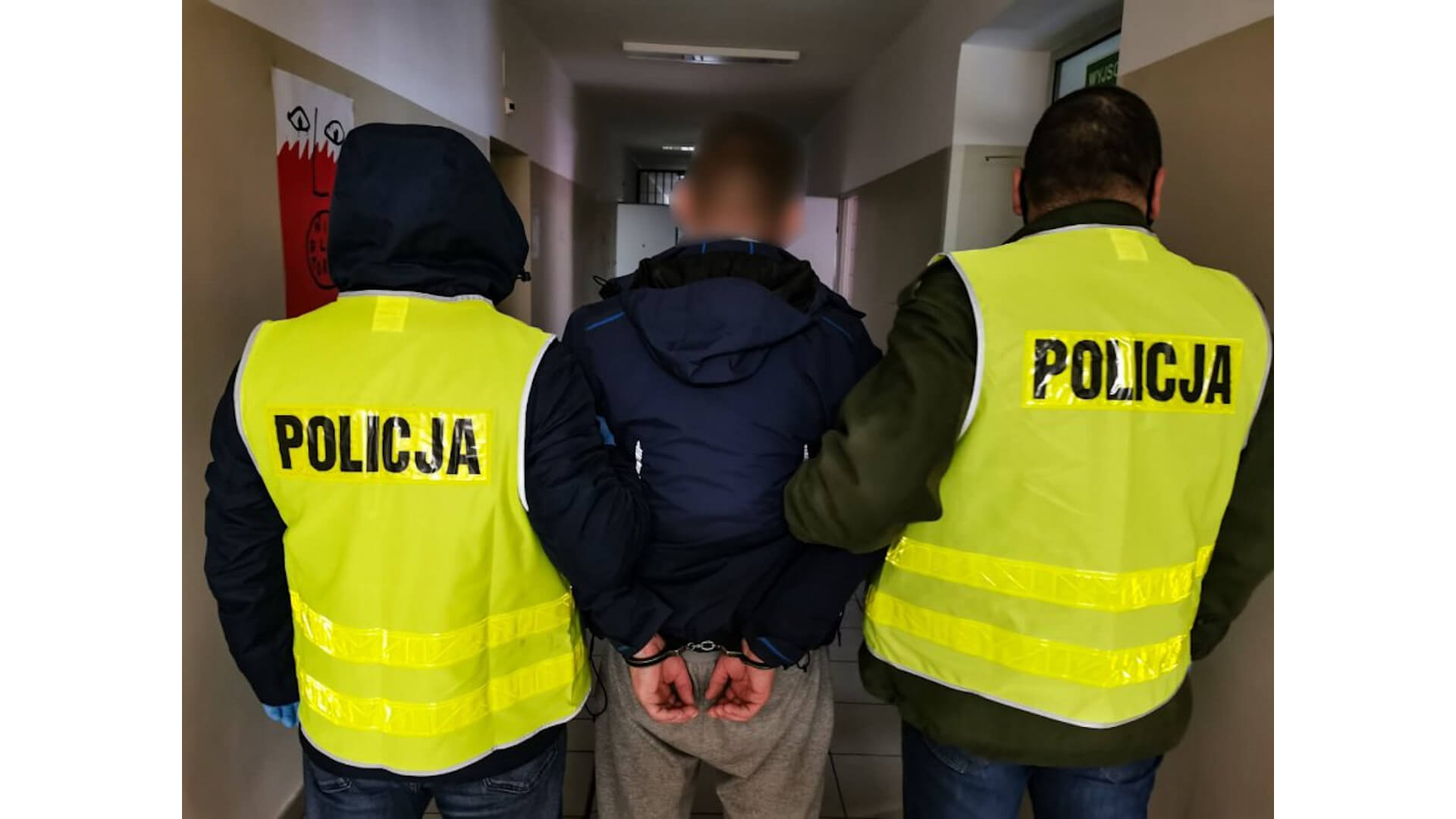 Zrzucił psa z ósmego piętra - teraz grozi mu do 5 lat więzienia