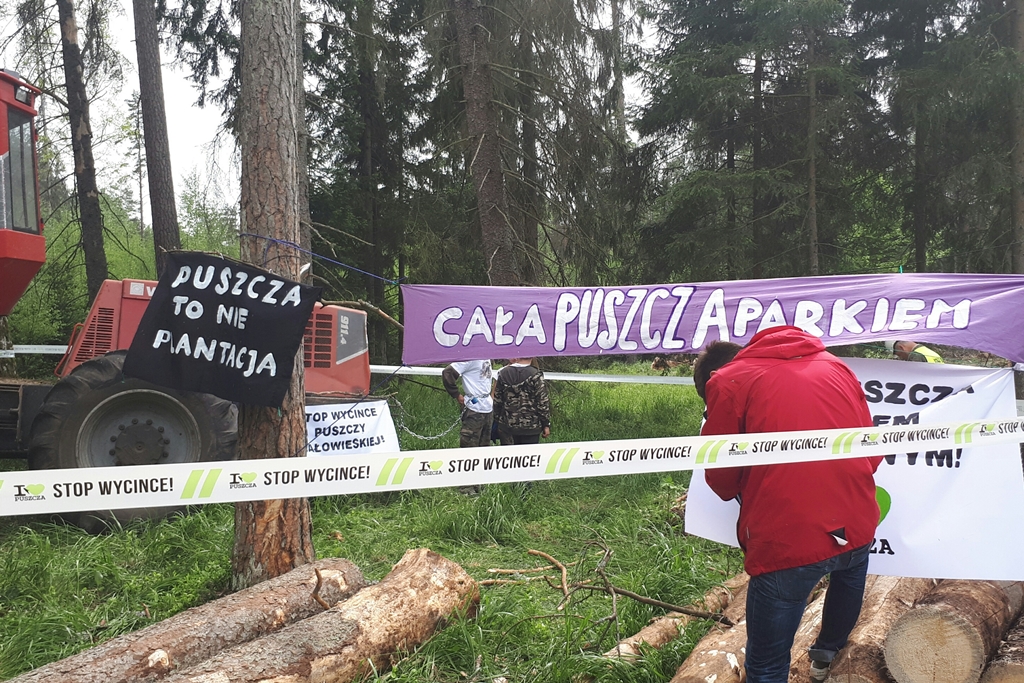 Puszcza Białowieska bezprawnie na liście dziedzictwa przyrodniczego UNESCO - twierdzi minister środowiska