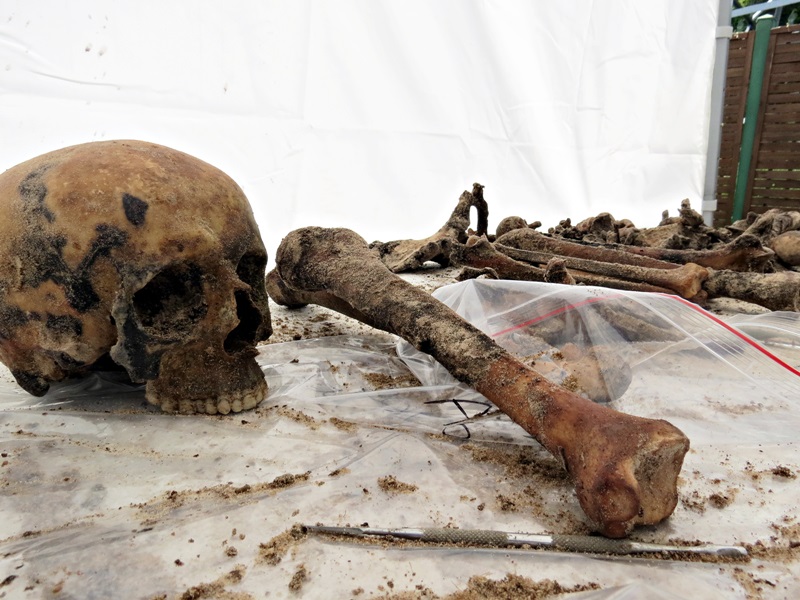 Koło Mątwicy znaleziono ludzkie szczątki - zajmą się nimi historycy