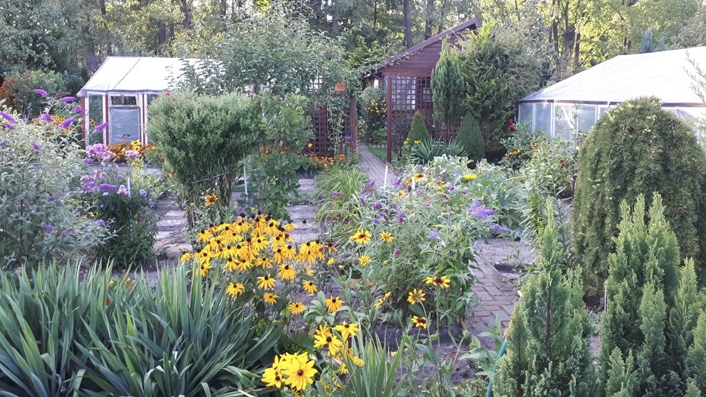 W Suwałkach może powstać nowy ogród działkowy