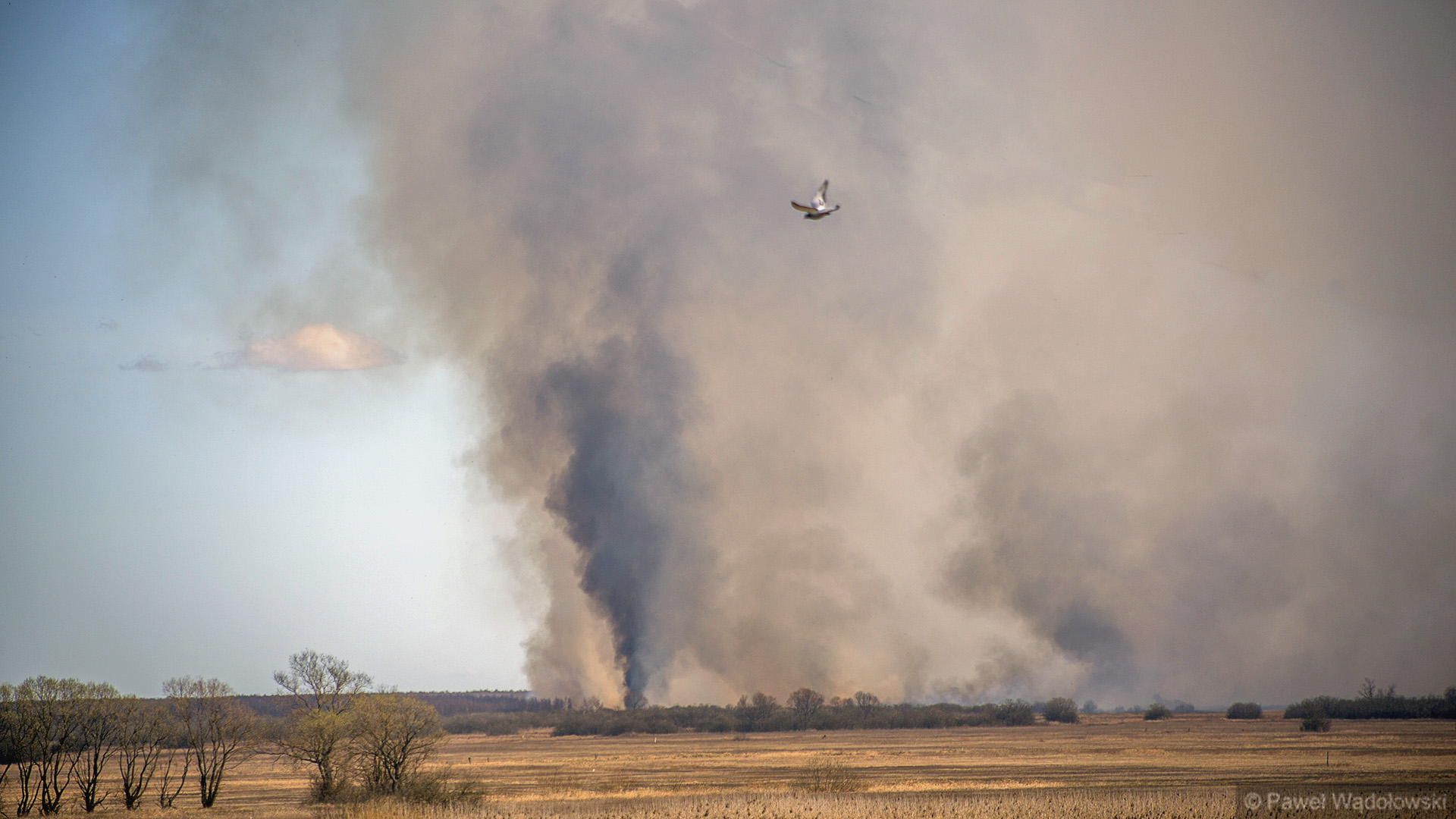 Nowe budki lęgowe dla ptaków będą w Biebrzańskim Parku Narodowym