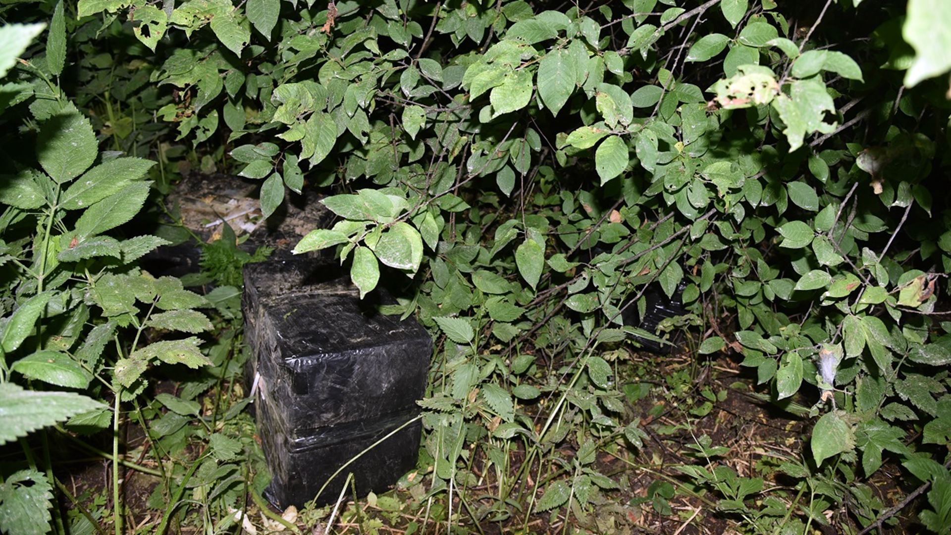 Udaremniony przemyt nielegalnych papierosów przy użyciu drona