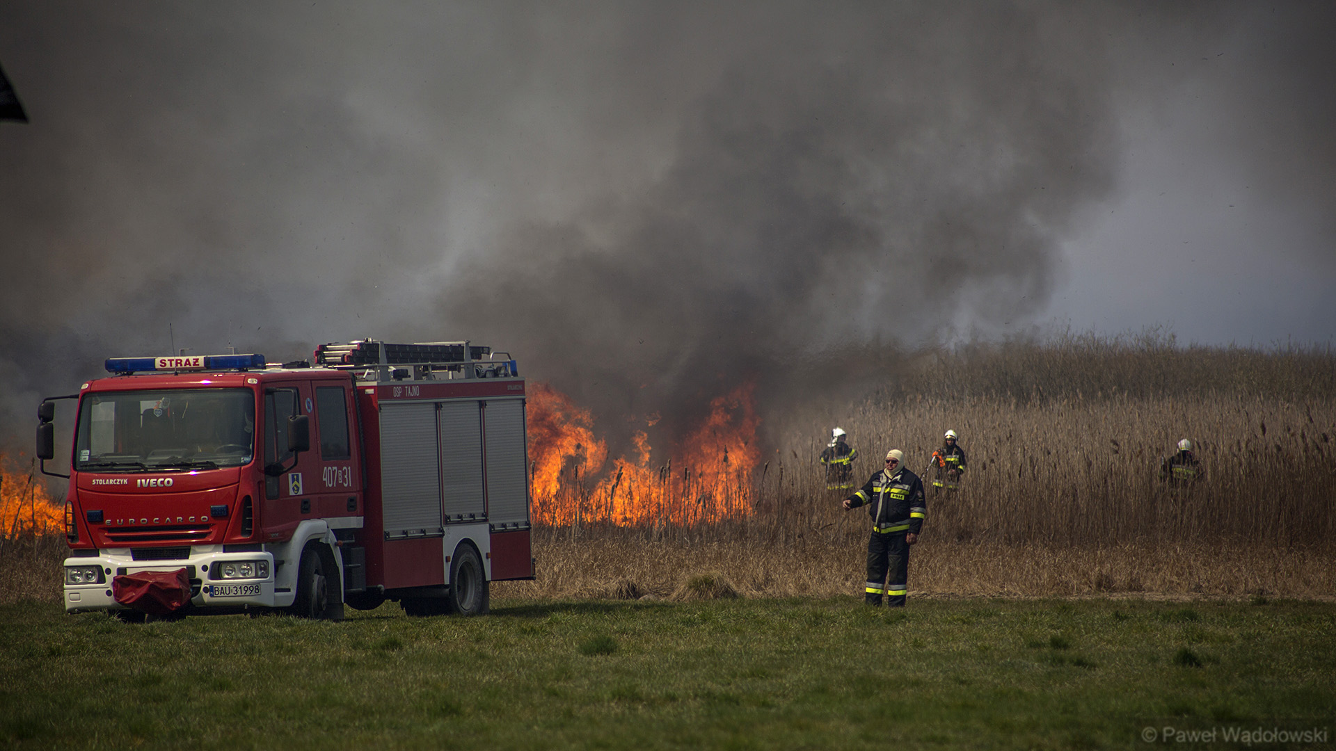 Rok po pożarze w Biebrzańskim Parku Narodowym