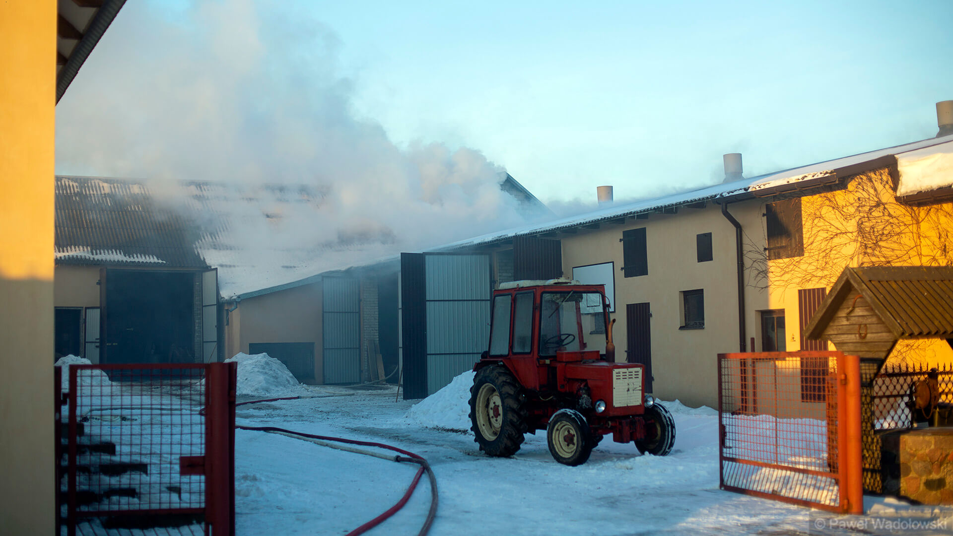 Wstępnie oszacowano straty po pożarze chlewni w Dłużniewie