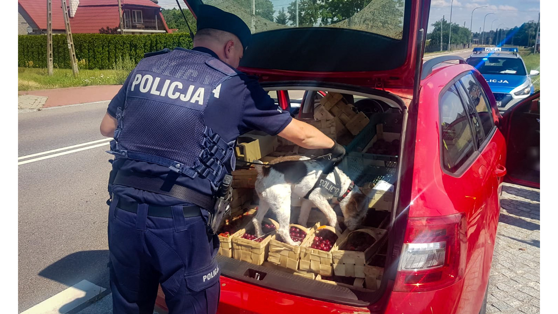 Prowadził bez prawa jazdy, jechał za szybko, miał w aucie narkotyki - zatrzymała go policja