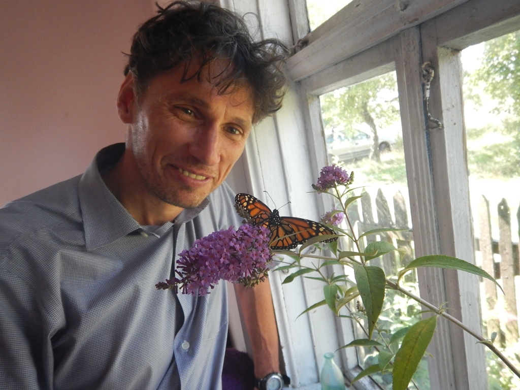 Biolodzy z UwB dokonali niecodziennego odkrycia - znaleźli motyla monarchę